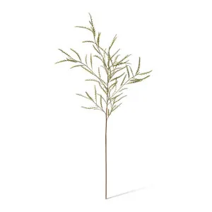 Grevillea Spray - 49 x 28 x 90cm by null, a Plants for sale on Style Sourcebook