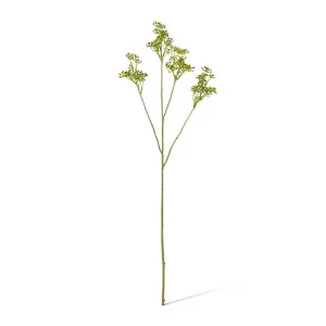Eucalyptus Seeding Spray - 18 x 18 x 62cm by null, a Plants for sale on Style Sourcebook