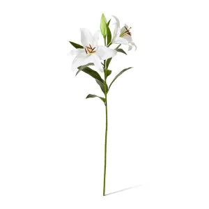 Lily Tiger Spray - 40 x 34 x 95cm by null, a Plants for sale on Style Sourcebook