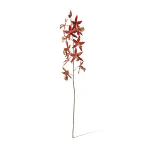 Orchid Oncidium Stem - 50 x 20 x 109cm by null, a Plants for sale on Style Sourcebook