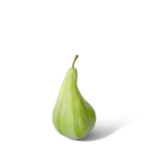 Fig - 7 x 7 x 9cm by null, a Plants for sale on Style Sourcebook