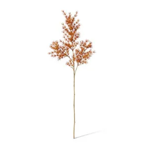 Asparagus Leaf Spray - 18 x 8 x 74cm by null, a Plants for sale on Style Sourcebook