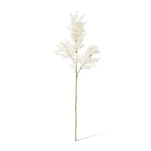 Asparagus Leaf Spray - 18 x 8 x 74cm by null, a Plants for sale on Style Sourcebook