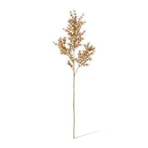 Asparagus Leaf Spray - 18 x 8 x 74cm by null, a Plants for sale on Style Sourcebook