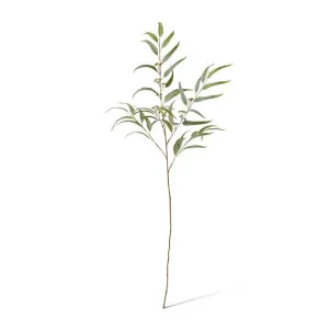 Eucalyptus Spray - 26 x 5 x 117cm by null, a Plants for sale on Style Sourcebook