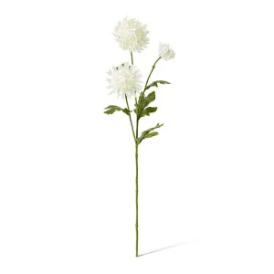 Chrysanthemum Spray - 16 x 9 x 64cm by null, a Plants for sale on Style Sourcebook