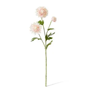 Chrysanthemum Spray - 16 x 9 x 64cm by null, a Plants for sale on Style Sourcebook