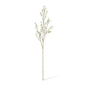 Wax  Flower Spray - 20 x 5 x 79cm by null, a Plants for sale on Style Sourcebook