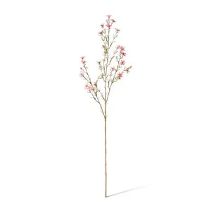 Wax  Flower Spray - 20 x 5 x 79cm by null, a Plants for sale on Style Sourcebook