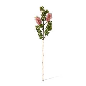Banksia Spray - 20 x 9 x 66cm by null, a Plants for sale on Style Sourcebook