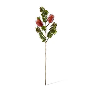 Banksia Spray - 20 x 9 x 66cm by null, a Plants for sale on Style Sourcebook