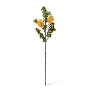 Banksia Spray - 20 x 9 x 66cm by null, a Plants for sale on Style Sourcebook