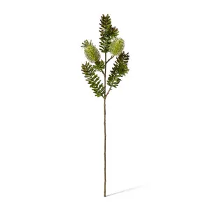 Banksia Spray - 20 x 9 x 66cm by null, a Plants for sale on Style Sourcebook