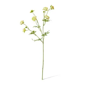 Ranunculus Spray - 20 x 12 x 56cm by null, a Plants for sale on Style Sourcebook