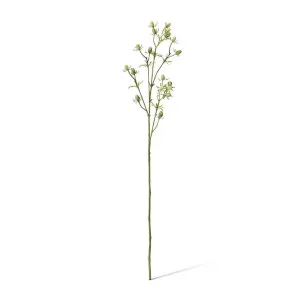 Eryngium Spray - 10 x 5 x 61cm by null, a Plants for sale on Style Sourcebook