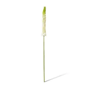 Foxtail Lily Stem - 10 x 7 x 84cm by null, a Plants for sale on Style Sourcebook