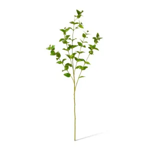 Hoya Leaf Spray - 40 x 22 x 84cm by null, a Plants for sale on Style Sourcebook