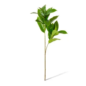 Island Leaf Spray - 38 x 24 x 77cm by null, a Plants for sale on Style Sourcebook