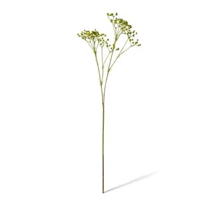Gypsophila Spray - 28 x 16 x 74cm by null, a Plants for sale on Style Sourcebook