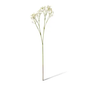 Gypsophila Spray - 28 x 16 x 74cm by null, a Plants for sale on Style Sourcebook