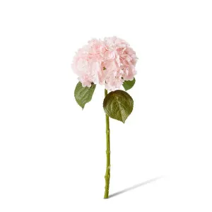 Hydrangea Classic Stem - 30 x 20 x 52cm by null, a Plants for sale on Style Sourcebook