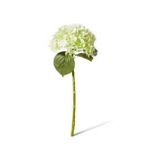 Hydrangea Classic Stem - 30 x 20 x 52cm by null, a Plants for sale on Style Sourcebook