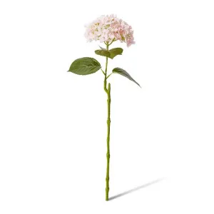 Hydrangea Garden Stem - 26 x 20 x 61cm by null, a Plants for sale on Style Sourcebook