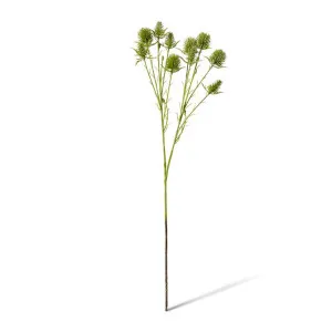 Thistle Spray - 24 x 12 x 69cm by null, a Plants for sale on Style Sourcebook