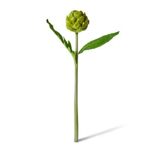 Artichoke Stem - 18 x 10 x 61cm by null, a Plants for sale on Style Sourcebook