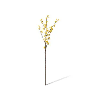 Autumn Berry Branch - 20 x 6 x 81cm by null, a Plants for sale on Style Sourcebook