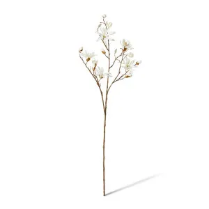 Magnolia Japanese Spray - 36 x 28 x 104cm by null, a Plants for sale on Style Sourcebook