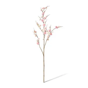 Blossum Plum Spray - 38 x 16 x 109cm by null, a Plants for sale on Style Sourcebook