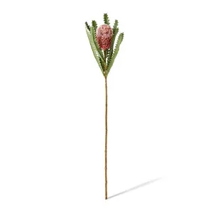 Banksia Stem - 14 x 14 x 58cm by null, a Plants for sale on Style Sourcebook