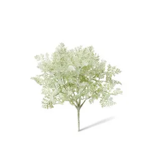 Artemisia Bush - 28 x 28 x 30cm by null, a Plants for sale on Style Sourcebook
