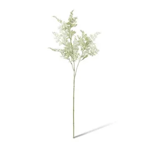 Artemisia Spray - 20 x 14 x 61cm by null, a Plants for sale on Style Sourcebook