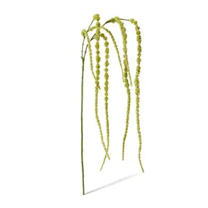 Amaranthus Hanging Spray - 16 x 16 x 147cm by null, a Plants for sale on Style Sourcebook