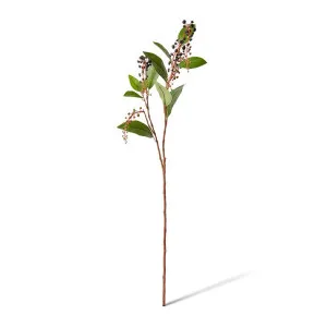 Poke Weed Spray - 30 x 20 x 97cm by null, a Plants for sale on Style Sourcebook