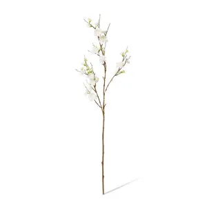 Blossom Plum Spray - 28 x 24 x 86cm by null, a Plants for sale on Style Sourcebook