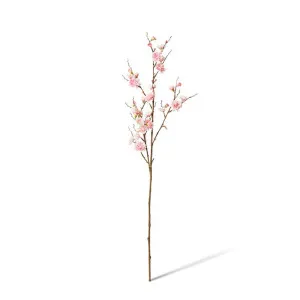 Blossom Plum Spray - 28 x 24 x 86cm by null, a Plants for sale on Style Sourcebook