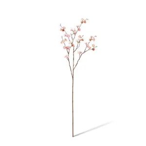 Blossom Plum Spray - 28 x 14 x 89cm by null, a Plants for sale on Style Sourcebook