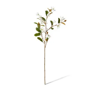 Magnolia Pearl Spray - 36 x 16 x 84cm by null, a Plants for sale on Style Sourcebook