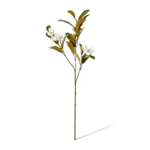 Magnolia Pearl Spray - 24 x 12 x 61cm by null, a Plants for sale on Style Sourcebook