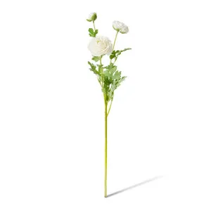 Ranunculus Flower Spray - 20 x 18 x 64cm by null, a Plants for sale on Style Sourcebook