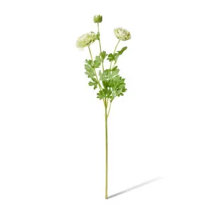 Ranunculus Flower Spray - 20 x 18 x 64cm by null, a Plants for sale on Style Sourcebook