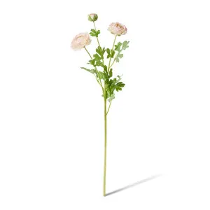 Ranunculus Flower Spray - 20 x 18 x 64cm by null, a Plants for sale on Style Sourcebook
