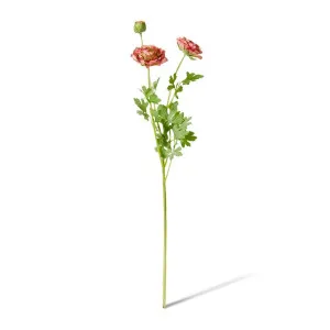 Ranunculus Flower Spray - 20 x 18 x 64cm by null, a Plants for sale on Style Sourcebook