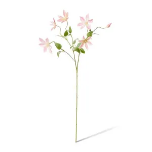 Clematis Flower Spray - 42 x 20 x 86cm by null, a Plants for sale on Style Sourcebook