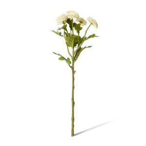 Chrysanthemum Spray - 22 x 16 x 56cm by null, a Plants for sale on Style Sourcebook