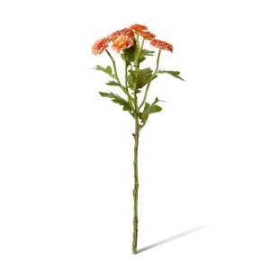 Chrysanthemum Spray - 22 x 16 x 56cm by null, a Plants for sale on Style Sourcebook