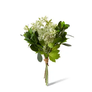 Marginata Seeding Mix  Bouquet - 24 x 24 x 38cm by null, a Plants for sale on Style Sourcebook